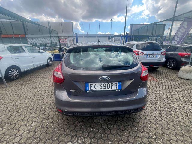 FORD Focus Focus 5p 1.6 tdci Titanium 115cv
