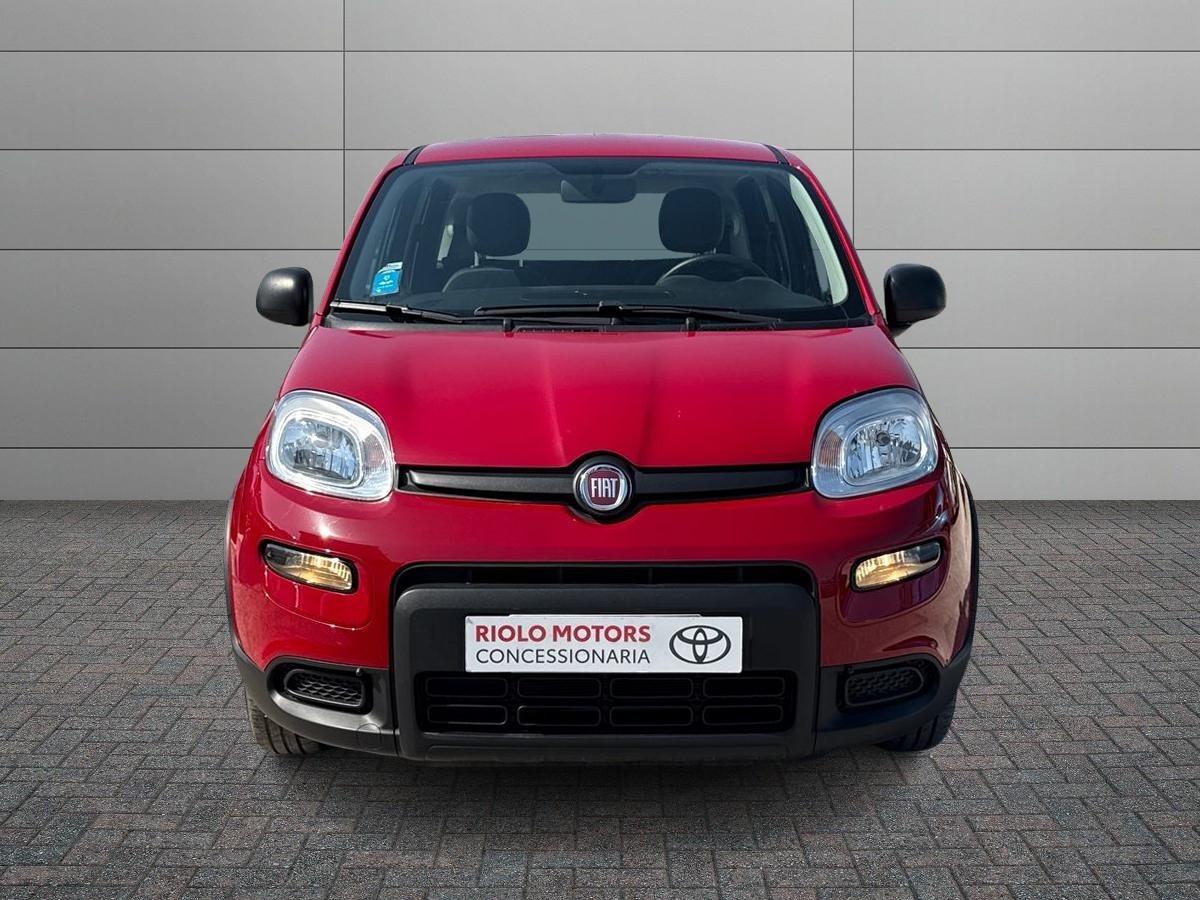 FIAT Panda III 2021 - Panda 1.0 firefly hybrid s&s 70cv