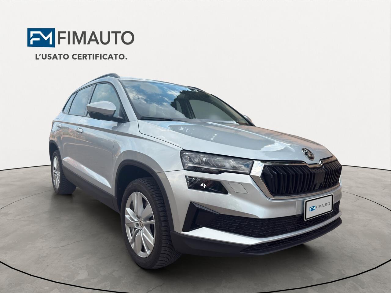 Skoda Karoq 2.0 TDI 115 CV Executive - 2024