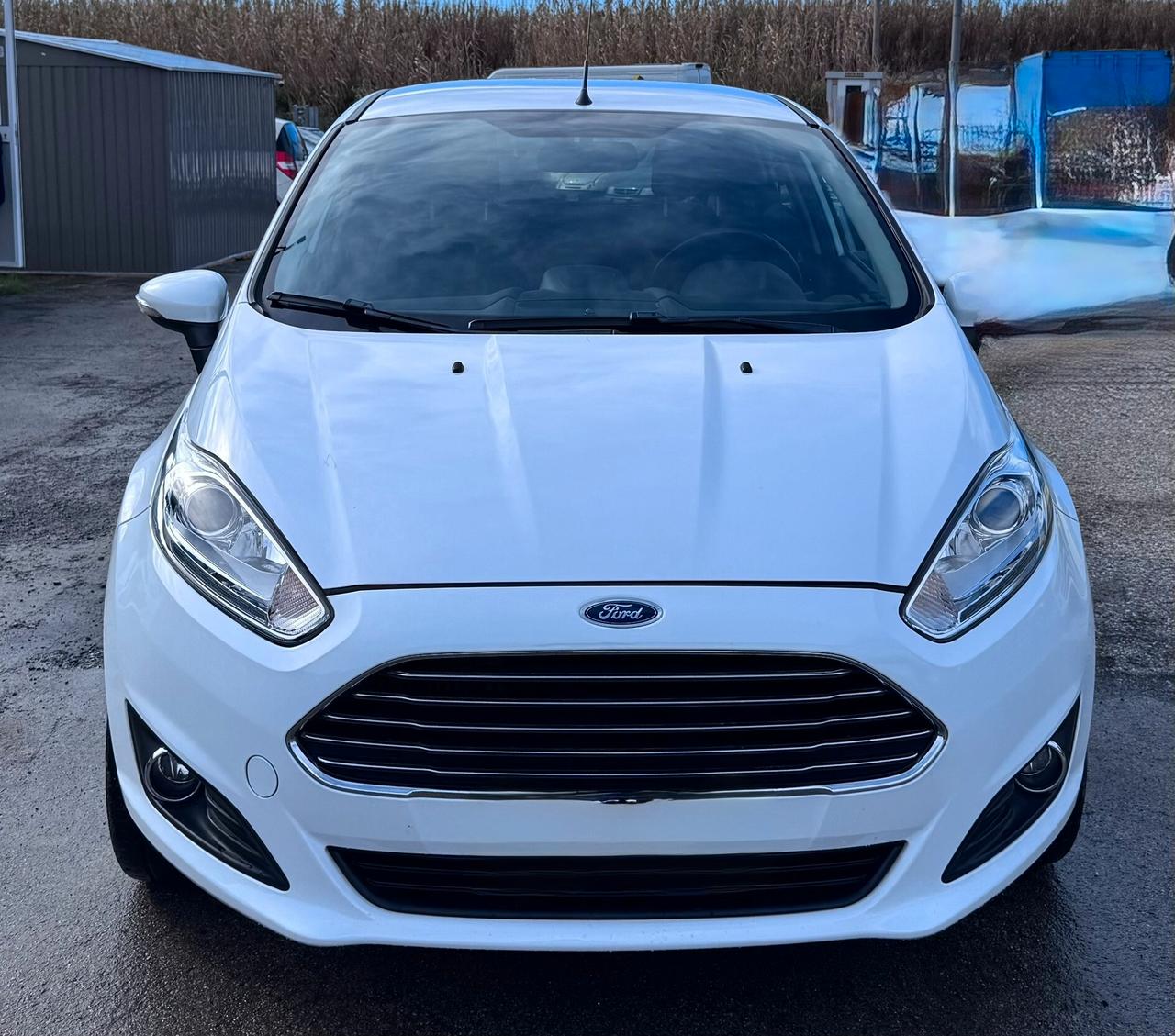 Ford Fiesta 1.0 80CV 5 porte Black & White Edition
