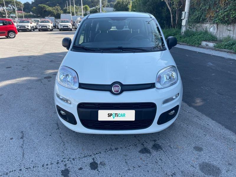 FIAT Panda 1.2 69cv E6 Easy