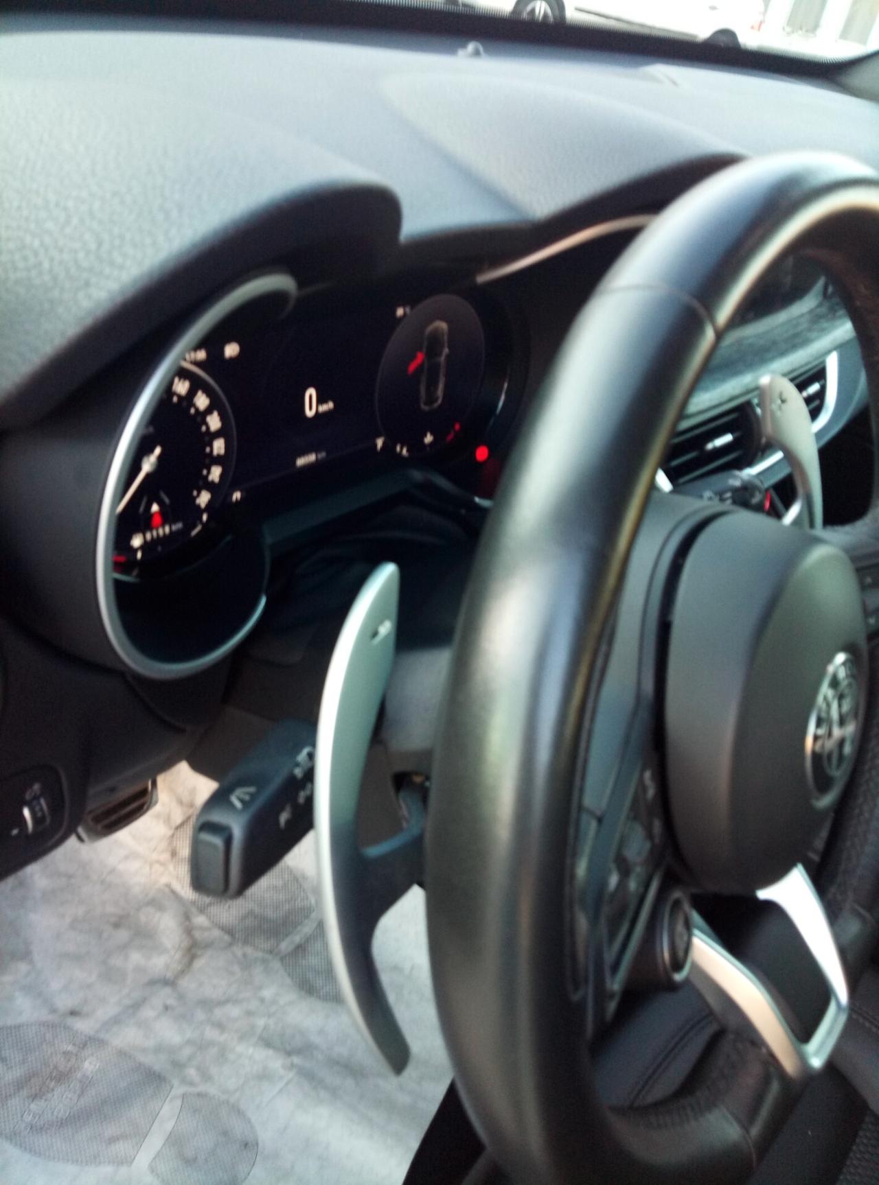 Alfa Romeo Stelvio 2.2 Turbodiesel 210 CV AT8 Q4 Sprint