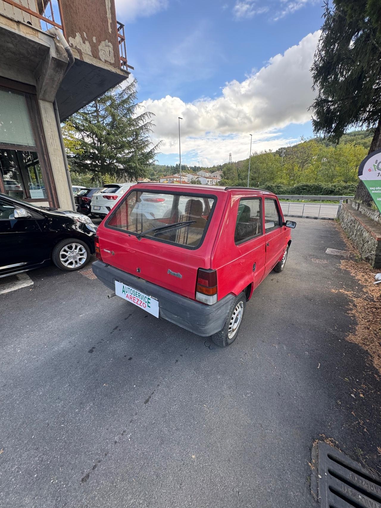 Fiat Panda 900 i.e. cat Young