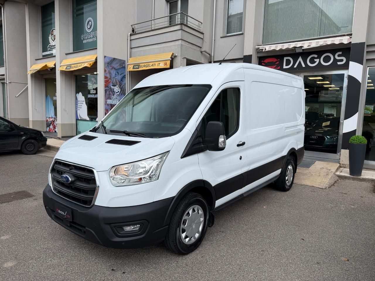 Ford Transit 290 2.0TDCi EcoBlue PM-TM Furgone Entry