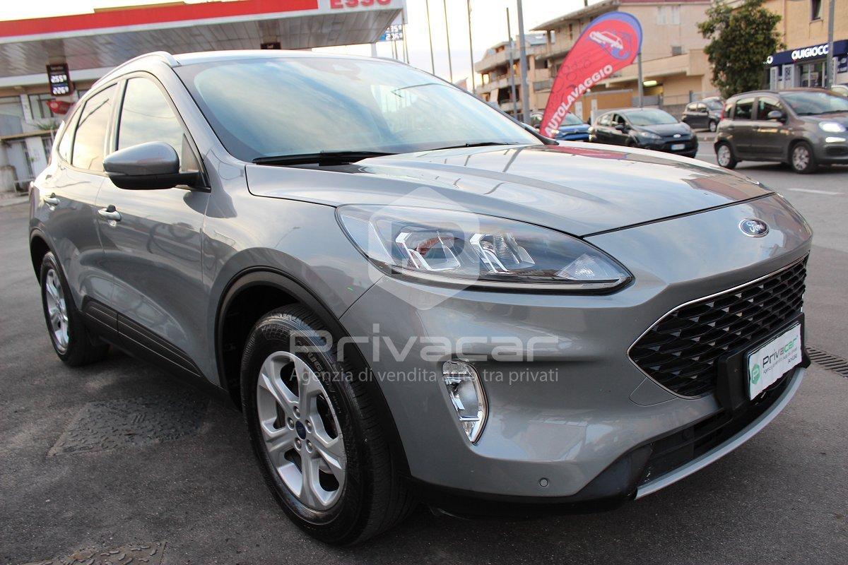 FORD Kuga 1.5 EcoBlue 120 CV 2WD Titanium Business