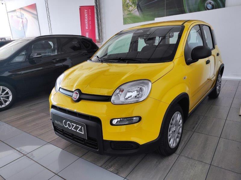 FIAT Panda 3ª serie - Panda 1.0 FireFly S&S Hybrid