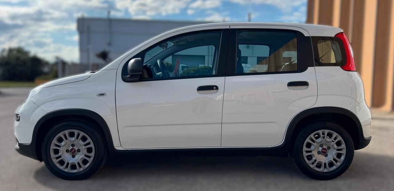 Fiat Panda 1.0 69CV NEOPATENTATI - 2024