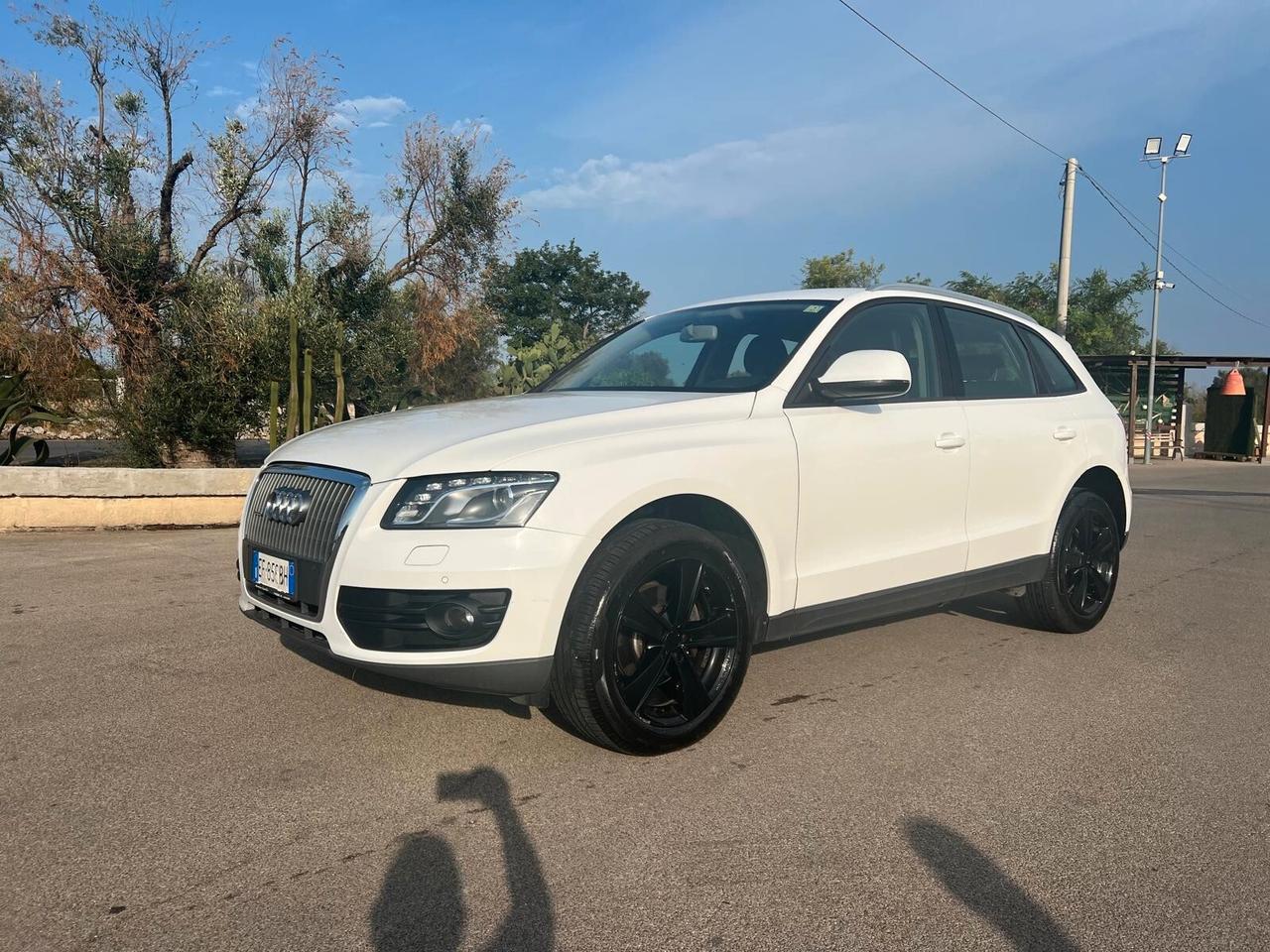 Audi Q5 2.0 TDI 170 CV quattro S tronic