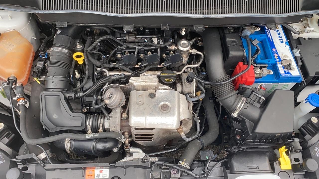 Ford B-Max 1.0 EcoBoost 100 CV Titanium