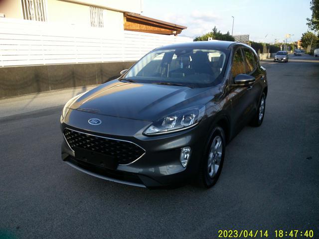 FORD Kuga 1.5 EcoBlue 120 CV aut. 2WD Titanium Business