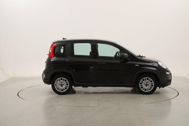 Fiat Panda Hybrid BR540849 1.0 Mild Hybrid 70CV