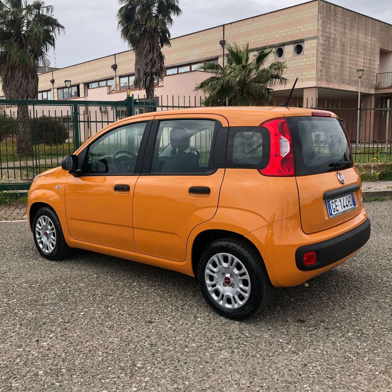 Fiat Panda Panda