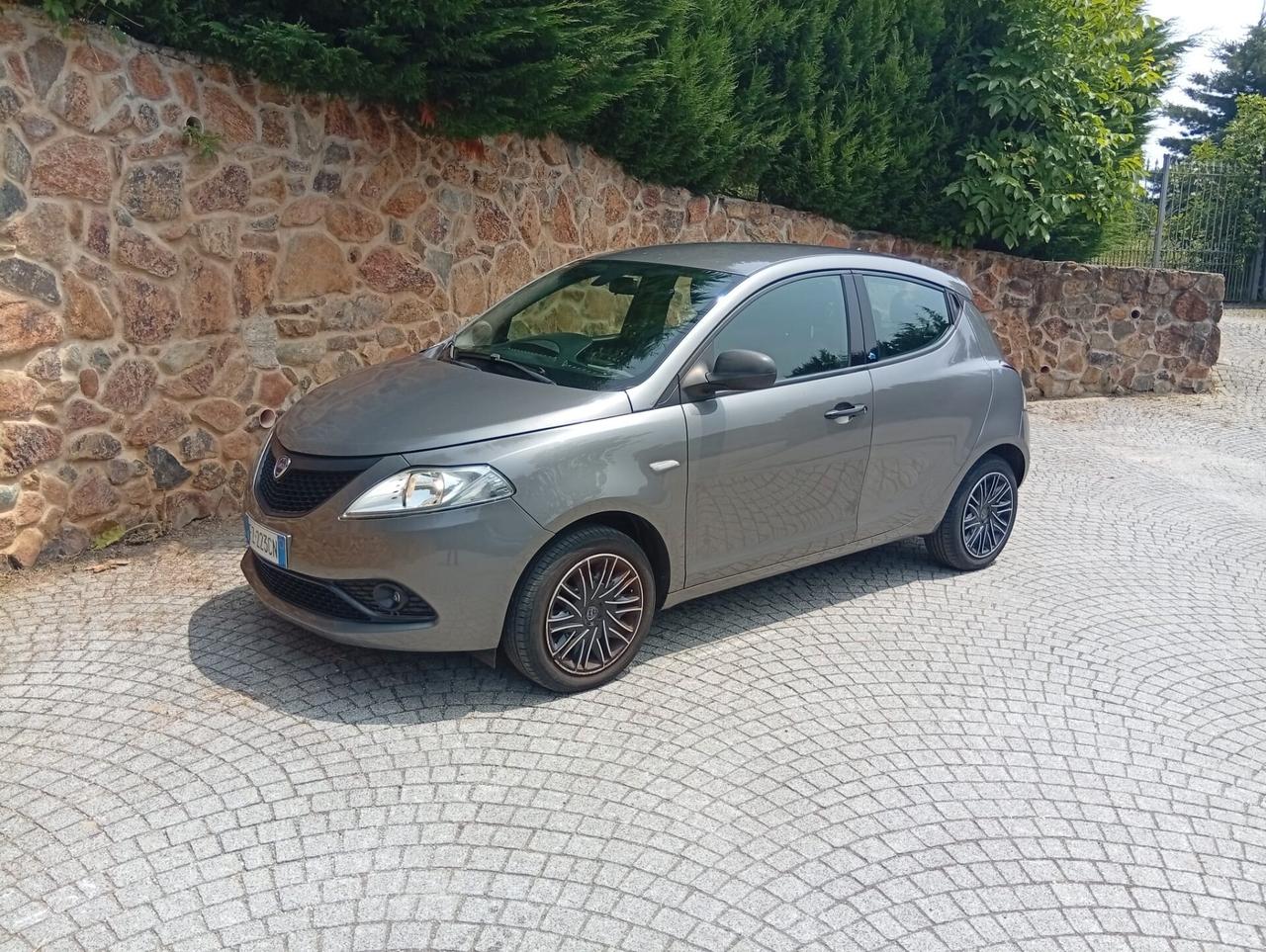 Lancia Ypsilon 1.2 69 CV 5 porte S&S Platinum 49400 KM CERTIFICATI