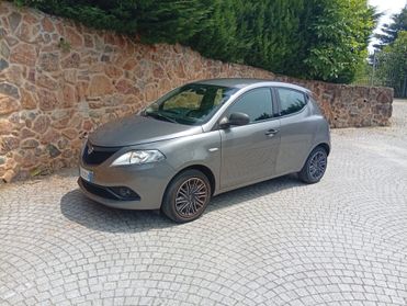 Lancia Ypsilon 1.2 69 CV 5 porte S&S Platinum 49400 KM CERTIFICATI