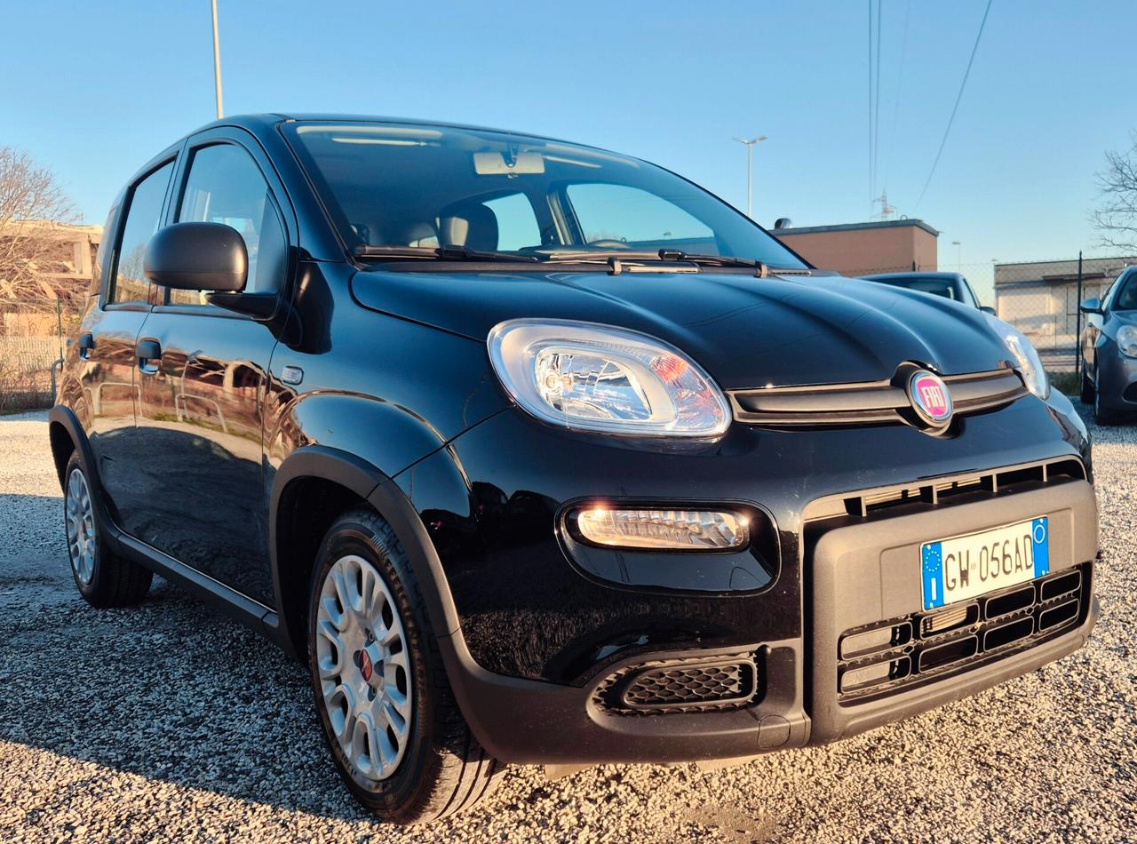 Fiat Panda 1.0 FireFly S&S Hybrid