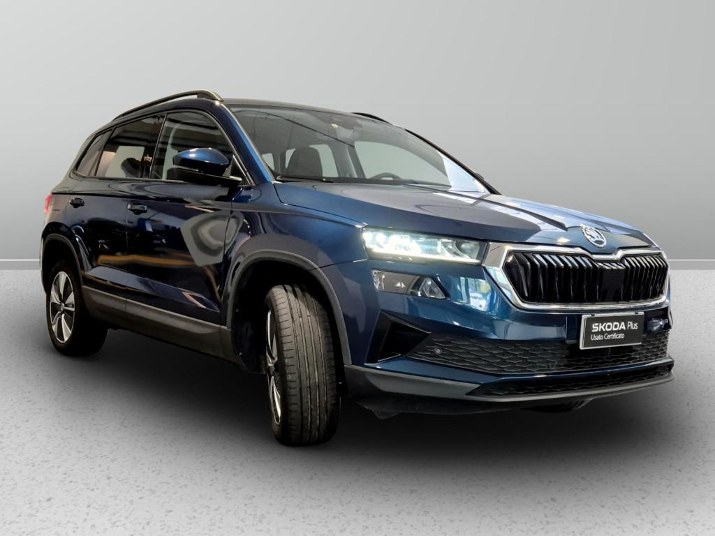 Skoda Karoq 2.0 tdi evo Executive 115cv dsg