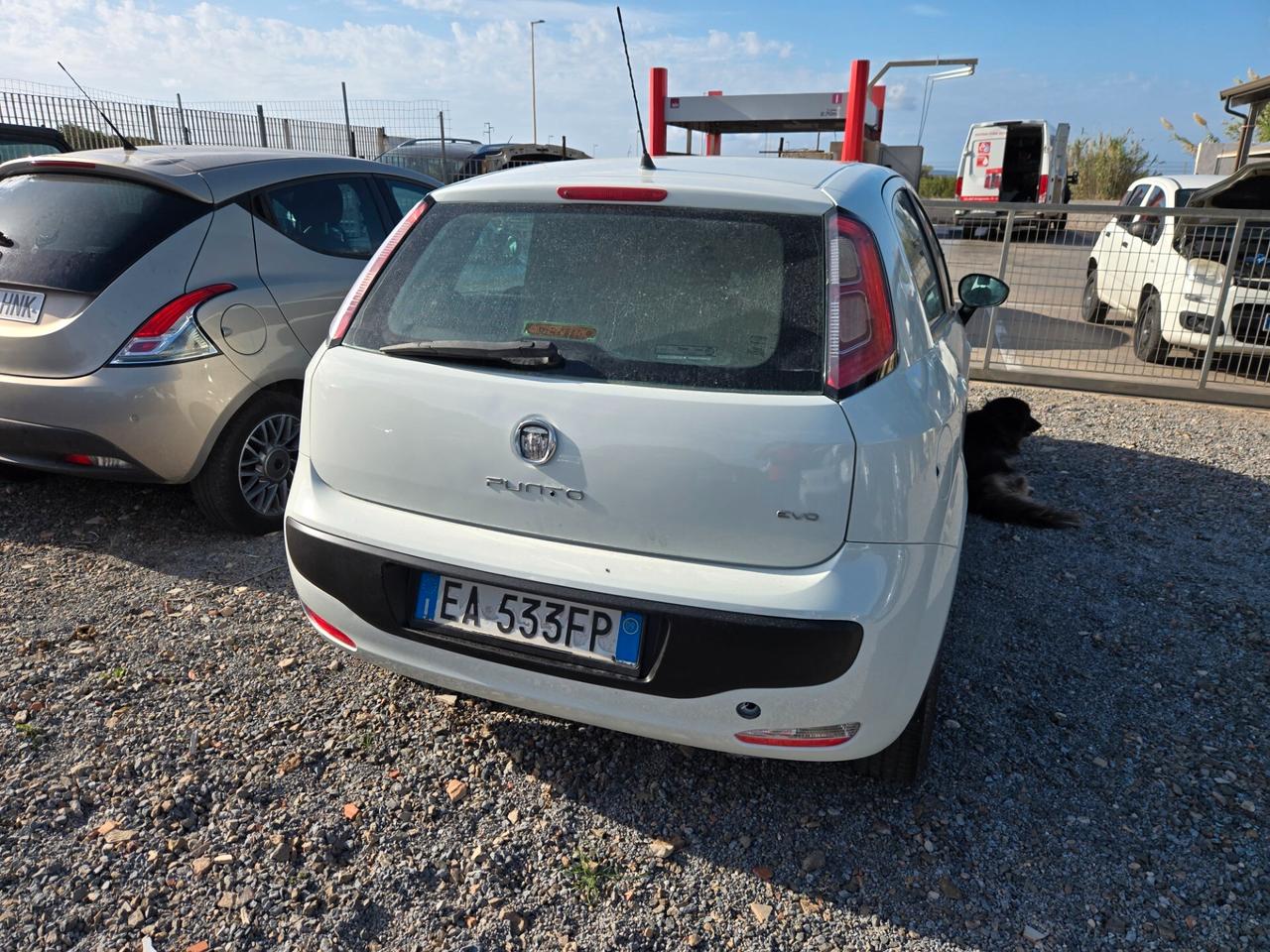 Fiat Punto Evo Punto Evo 1.2 5 porte Active