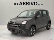 Fiat Panda 1.0 FireFly S&S Hybrid City Cross tua a € 169 mese