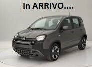 Fiat Panda 1.0 FireFly S&S Hybrid City Cross tua a € 169 mese
