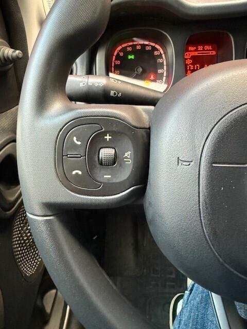 Fiat Panda 0.9 TwinAir Turbo S&S 4x4 Pop Van 2 posti
