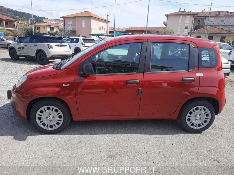 FIAT Pandina PANDA MY26 1.0 65CV HYBRID ICON