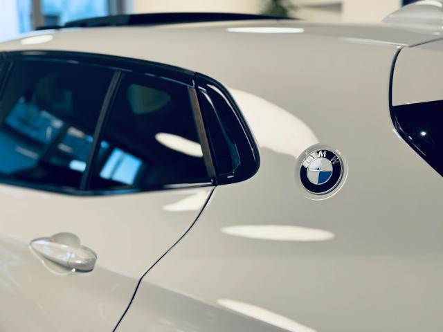 BMW X2 xdrive20d Msport X auto TETTO