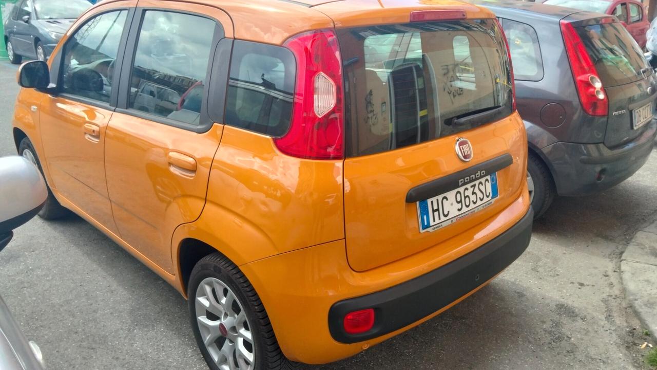Fiat Panda 1.2 Lounge PER NEOP 5 POSTI CINGHIA DISTRB NUOVA