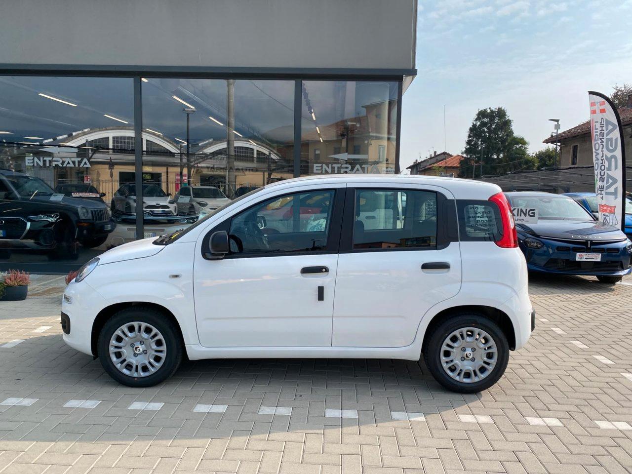 Fiat Pandina 1.0 firefly hybrid Icon s&s 65cv