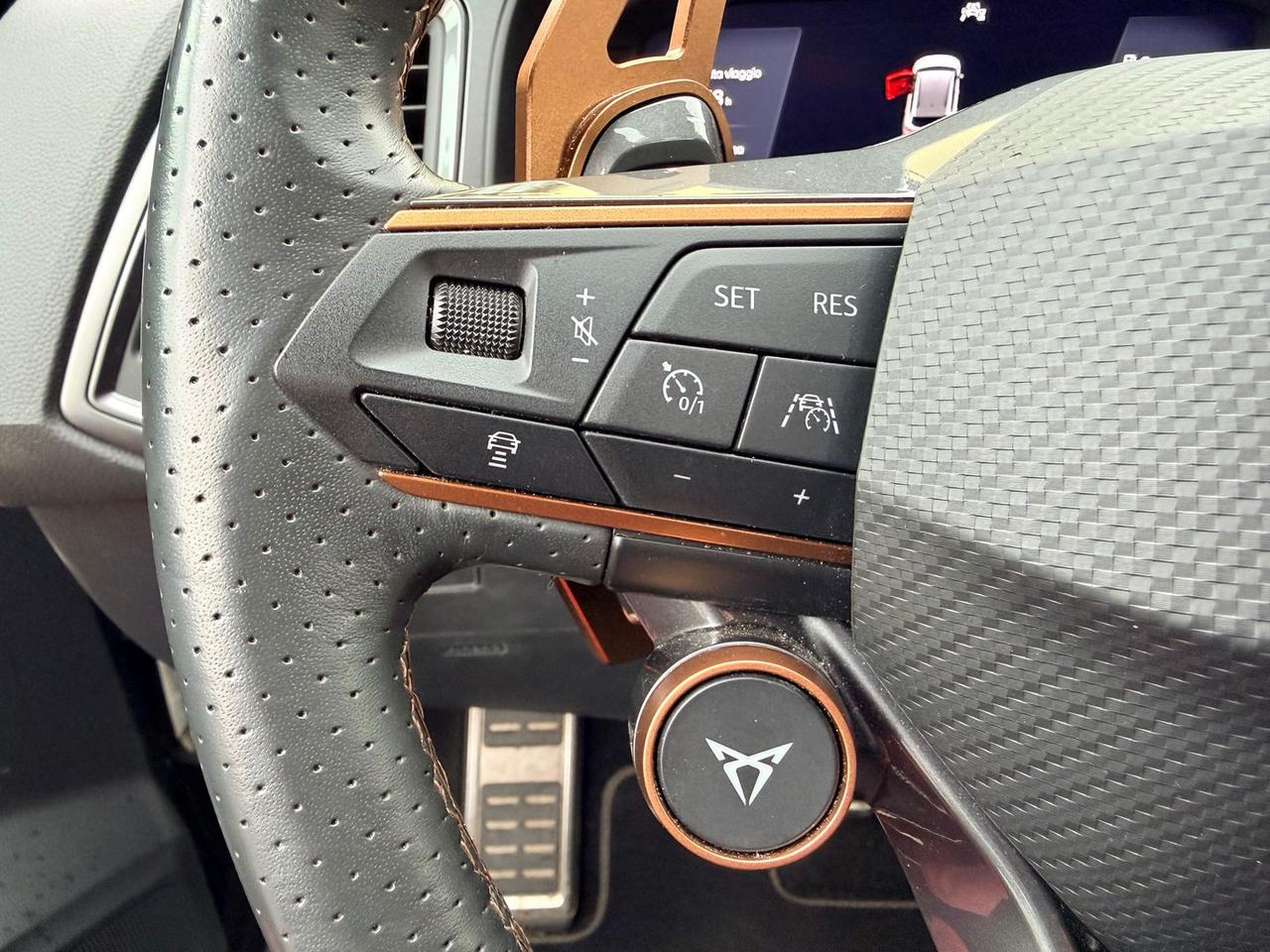 Cupra Ateca Tribe Edition 2.0 TSI VZ #9934