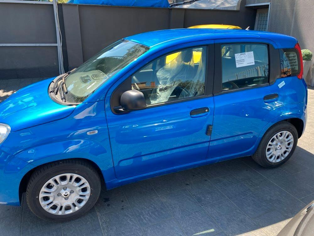 Fiat Panda Pandina 1.0 FireFly 65 CV Hybrid Pop