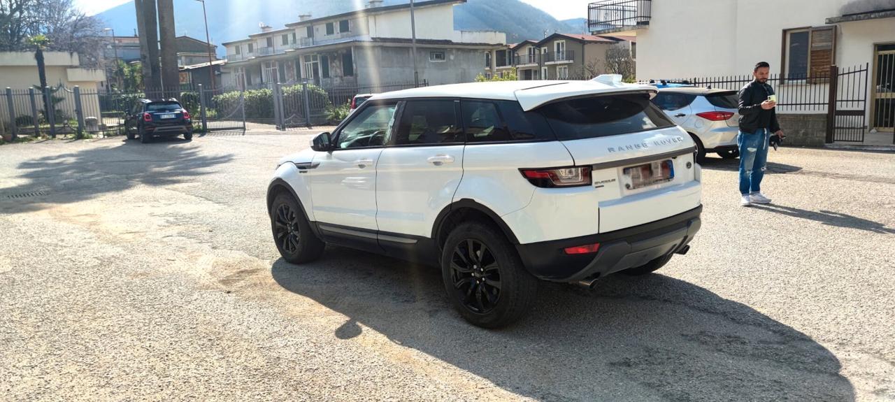 Land Rover Range Evoque 2.0 TD4 150 CV 5p. SE Dynamic TETTO