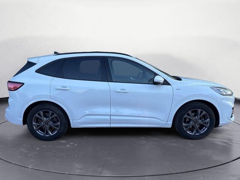 Ford Kuga Kuga 1.5 EcoBlue 120 CV aut. 2WD ST-Line