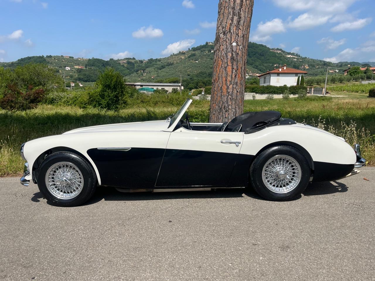 Austin Healey 100/6 BN4 2700 ASI