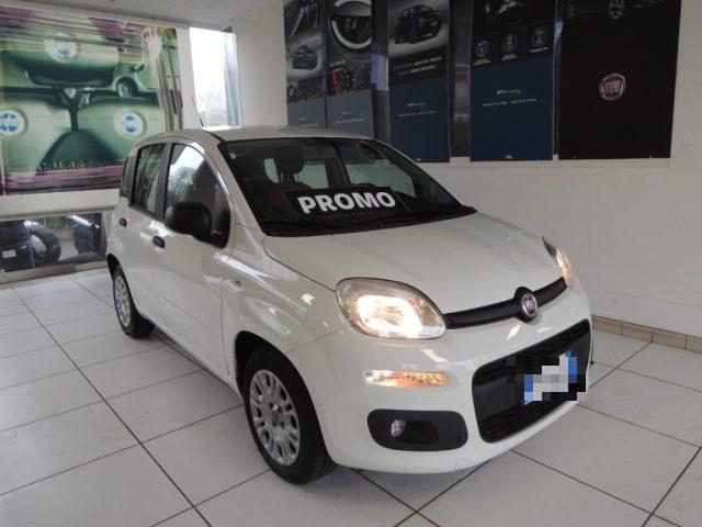 FIAT Panda 1.3 MJT 95 CV S&S Easy