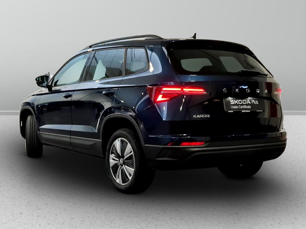 Skoda Karoq 2.0 tdi evo Executive 115cv dsg