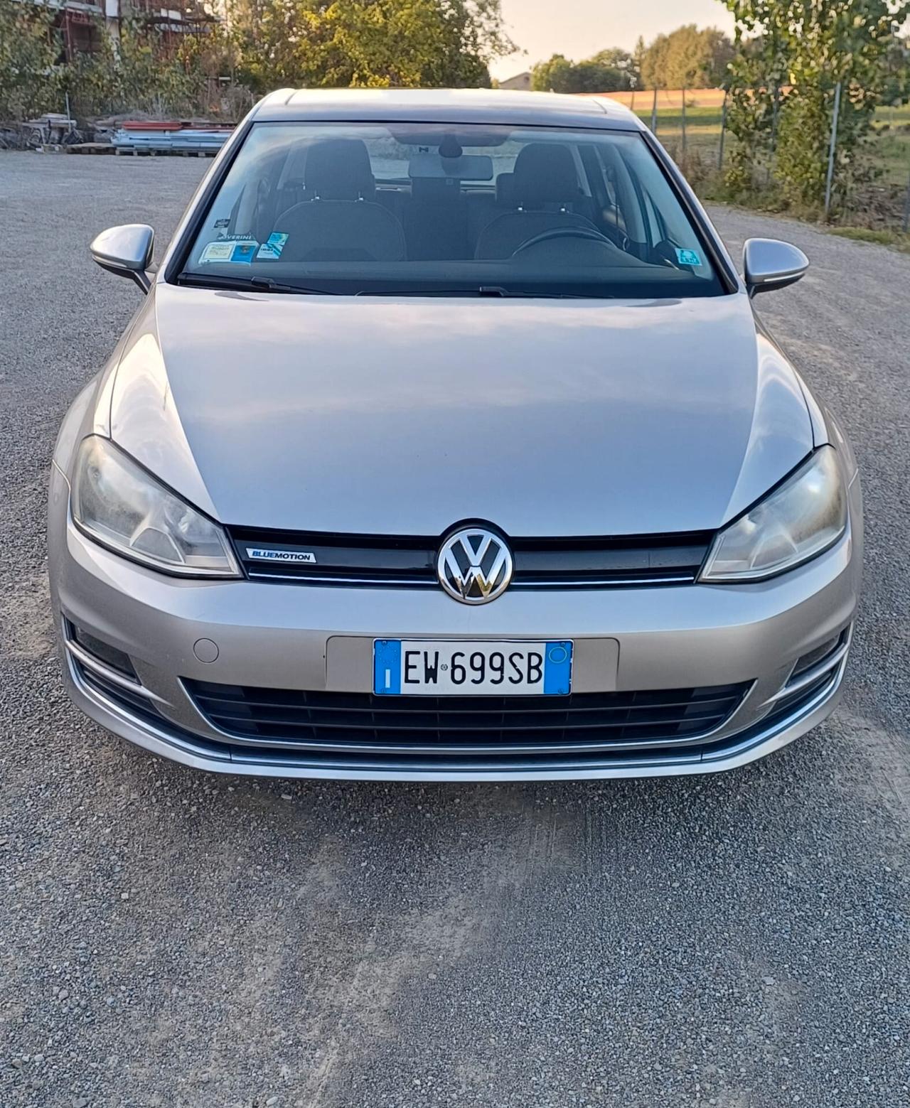 Volkswagen Golf 1.4 TGI 5p. Highline BlueMotion