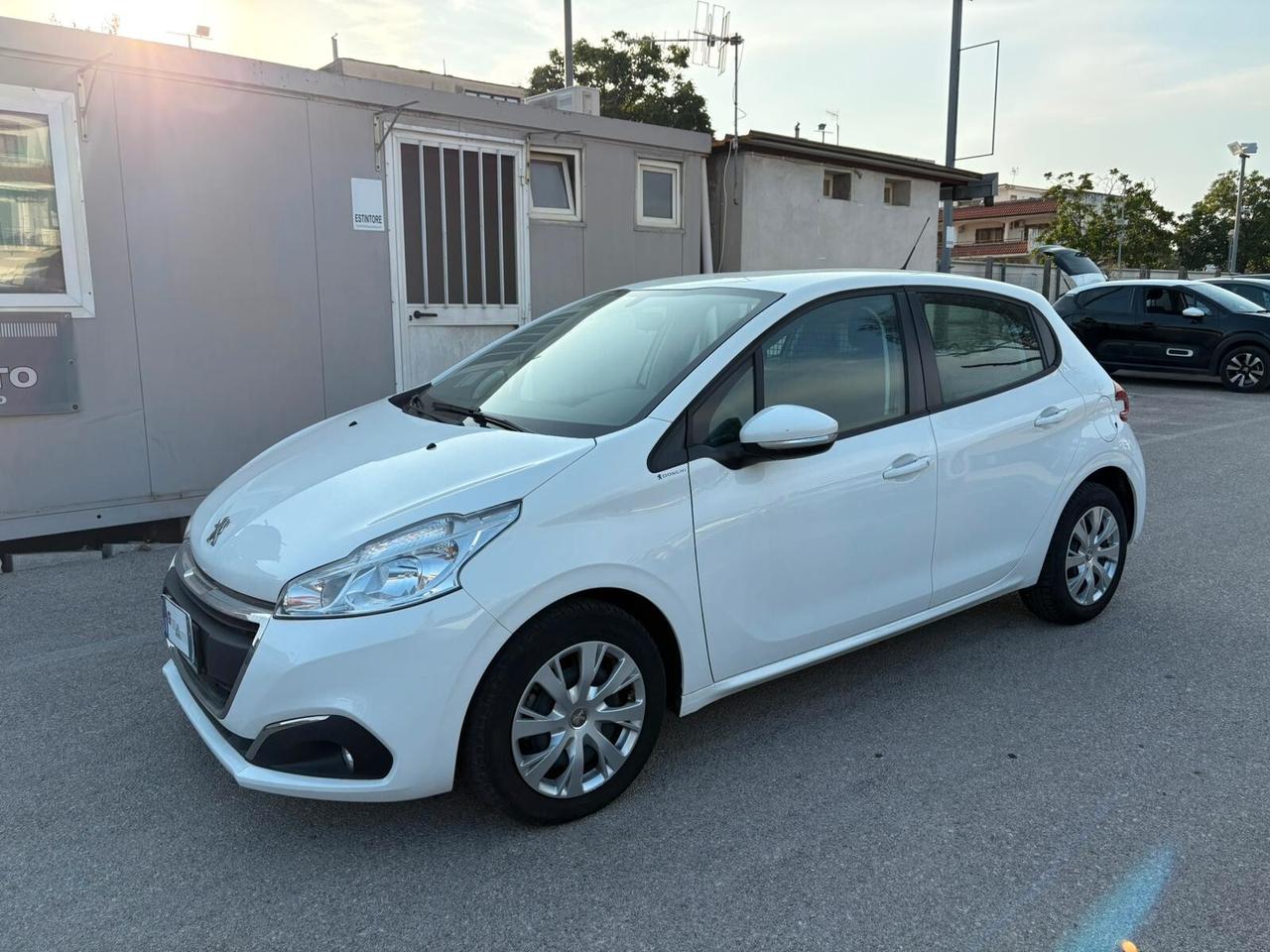 Peugeot 208 BlueHDi 100 S&S 5 porte Van Active