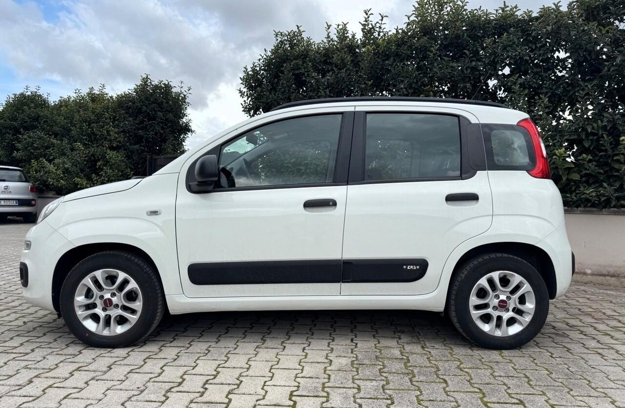 Fiat Panda 1.2 Lounge