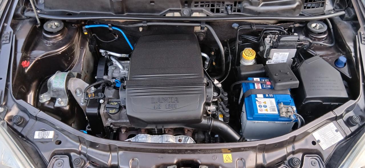 LANCIA YPSILON 1.2 PARI AL NUOVO