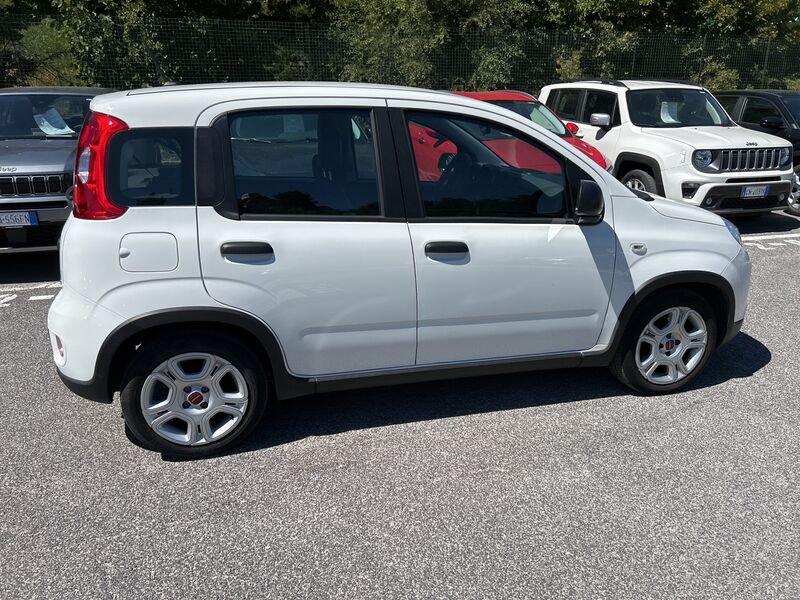FIAT Panda New My23 1.0 70cv Hybrid Panda