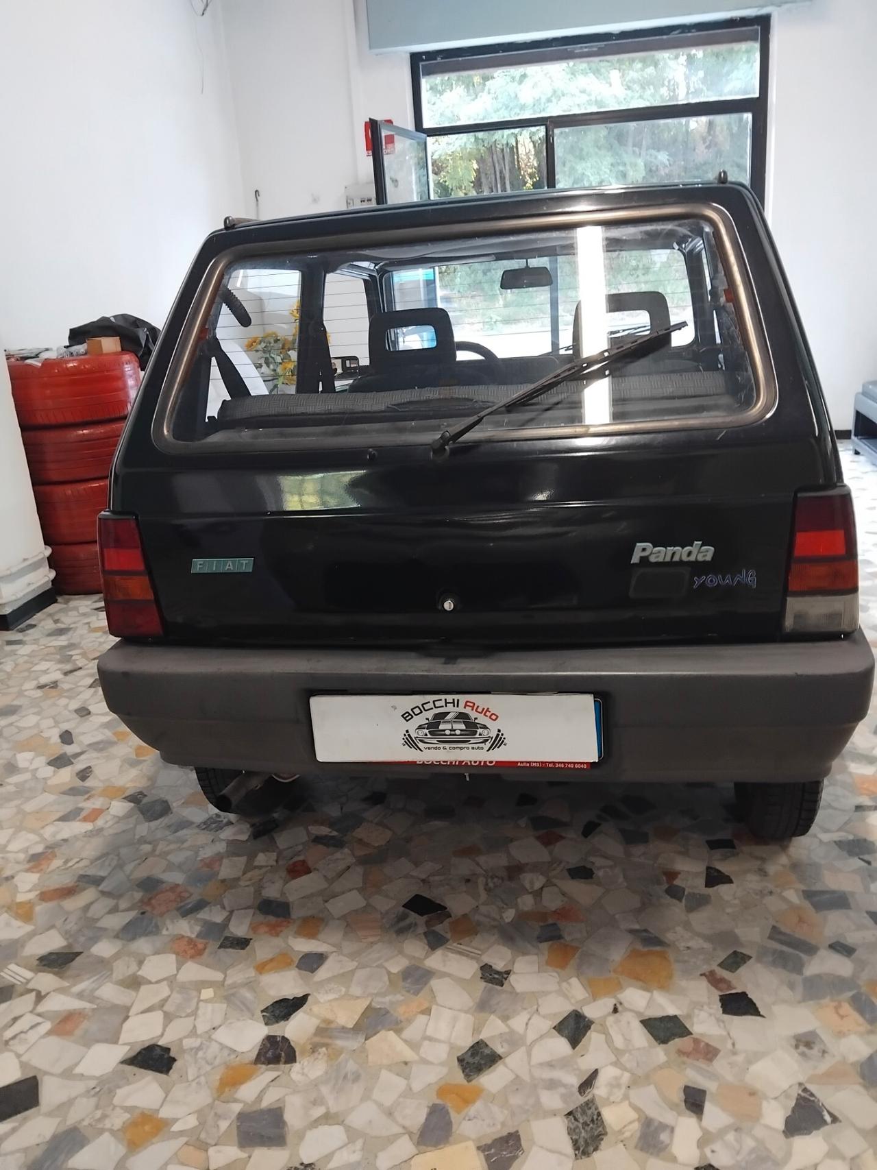 Fiat Panda 900 i.e. cat Young