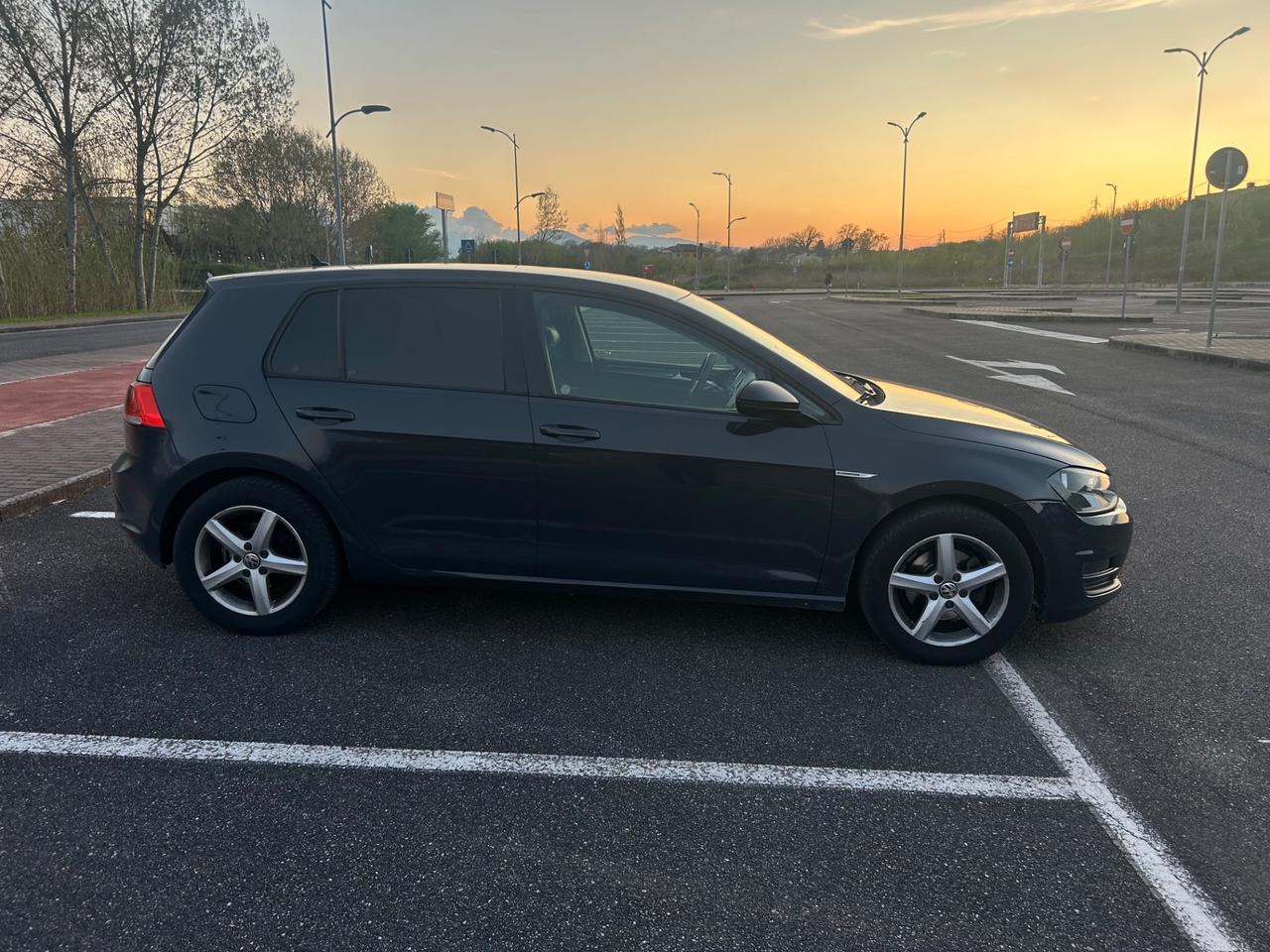 Volkswagen Golf serie 7 - 1.4 TGI 5p. Executive BlueMotion
