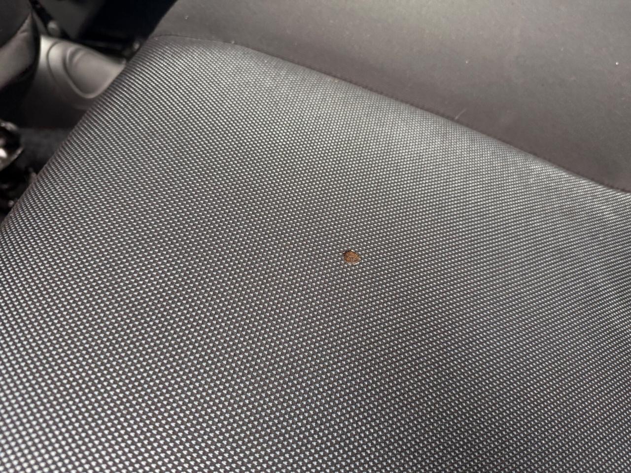 Fiat Punto Classic 1.2 5 porte Active