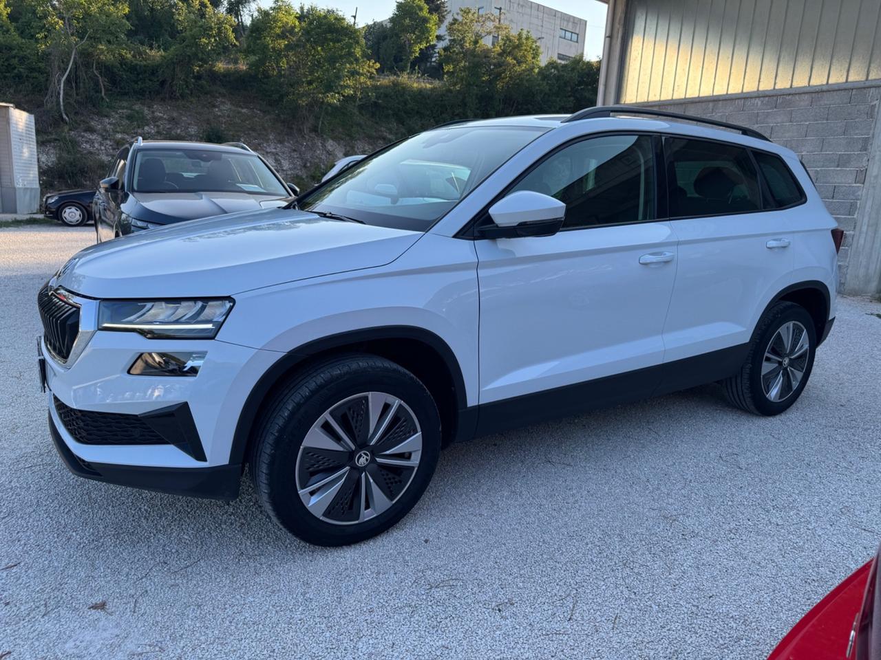 Skoda Karoq 1.0 TSI 110 CV Executive
