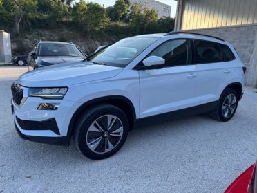 Skoda Karoq 1.0 TSI 110 CV Executive