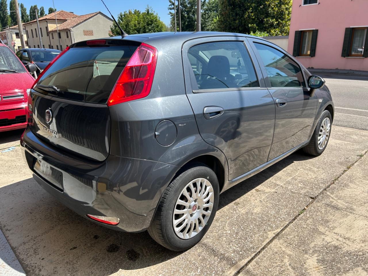 Fiat Punto 1.2 8V 5 porte Street NEOPATENTATI 2017!!