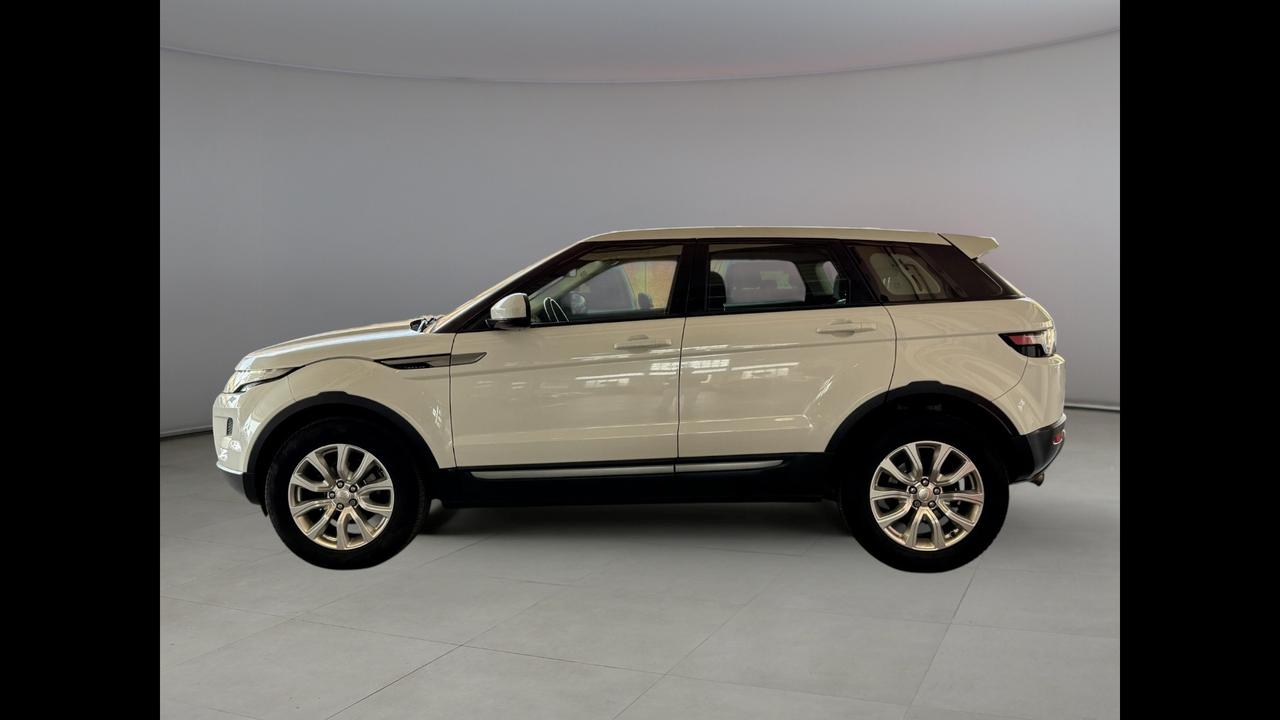 LAND ROVER Range Rover Evoque I - Range Rover Evoque 3p 2.2 td4 Pure 15