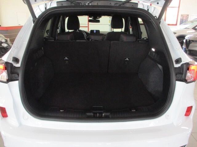 Ford Kuga 1.5 EcoBlue 120 CV aut. 2WD ST-Line