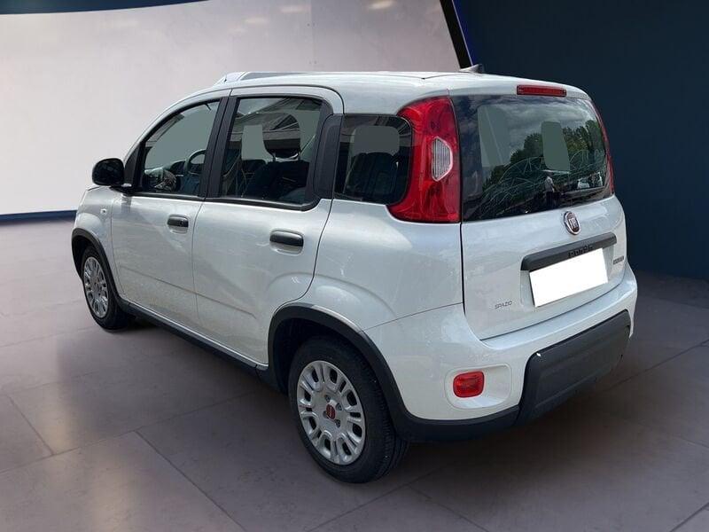 FIAT Panda My23 1.0 70cv Hybrid Panda