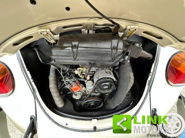 VOLKSWAGEN Maggiolino 11/D11